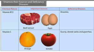 Vitamins Their Sources And Deficiency Diseases