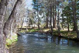 Rancheria Rv Park 3 Photos 1 Reviews Hat Creek Ca Roverpass