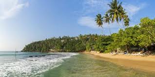 Check spelling or type a new query. Mirrisa Beach Mirissa South Coast Sri Lanka Photographic Print Peter Adams Allposters Com