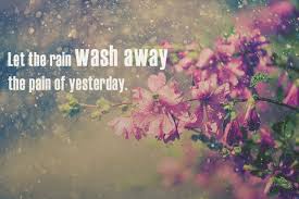 Let The Rain Washing Away Quotes Rain Washing Flower Photography Wild Weather Pretty Photos