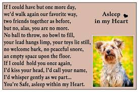 Yorkshire Terrier Dog Flexible Fridge Magnet Pet Loss Etsy Yorkshire Terrier Yorkshire Terrier Dog Pet Bereavement