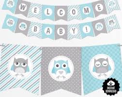 Blue Owl Baby Shower Etsy