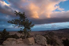 Rooney Valley Photography Contest 2019