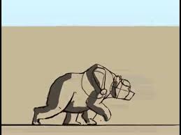 Bear Walk Cycle Animation Youtube Download walking bear images and photos. bear walk cycle animation