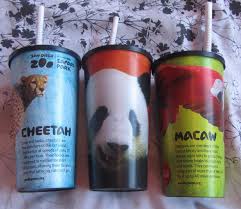 San Diego Zoo 2012 Souvenir Cup How To Run Faster Souvenir Cups San Diego Zoo