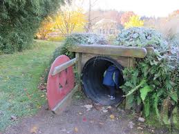 We did not find results for: Dash Away All Road Trip To Christmas In The Garden
