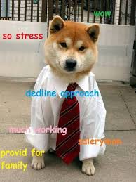 Such Business Doge Shiba Inu Pet Costumes Funny Dog Pictures