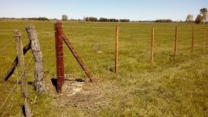 Alambrado rural de 7 hilos. Postes de... - Los Angeles ...