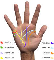 By reading one's palm lines, size and shape of the palm and other features. Learn Palm Reading Lines Read Your Own Palm Best Guide With Pics