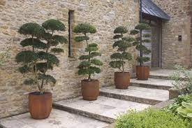 Japanese Gardens Are Miniature Worlds Of Abstract Shapes Rocks Gravel And Cloud Pruning That Represent Th Japanese Garden Plants Asian Garden Japanese Garden