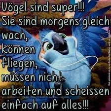 Witziger Guten Morgen Spruch Witzige Guten Morgen Spruche Morgen Spruche Und Lustige Guten Morgen Spruche