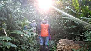 Orange county pest control professionals. The Insect Repellent Clothing And Gear Every Traveler Should Have