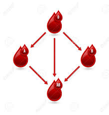 Red Blood Type Compatibility Chart Isolated On Background