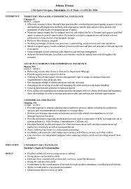 Commercial Insurance Resume Samples Velvet Jobs