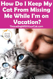 Your cat will be disoriented and anxious when you move to a new house, but you can help her to adjust and lower the chances of her running away or while all the packing is taking place keep your cat in one room with everything she needs. How Do I Keep My Cat From Missing Me While I M On Vacation Cat Parenting Cat Travel Cats