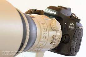 Canon 80d Setup For Wildlife Photography Wildlife Photography Canon Photography