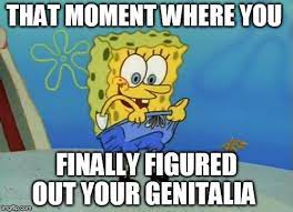 Spongebob Touch Myself Memes Gifs Imgflip