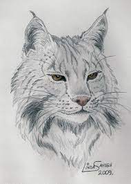 Woman sculpted by an endless line Copper Lynx By Artsy50 On Deviantart Animal Drawings Sketches Animal Drawings Pencil Drawings Of Animals