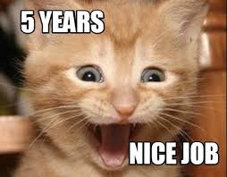 Cats have been stealing the show on the internet almost since its inception, with pictures of cats being shared on usenet long before most people even ever since, people have been making and sharing cat memes, making their favorite felines famous in a wide array of hilarious memes that never fail to. Meme Creator Funny 5 Years Nice Job Meme Generator At Memecreator Org