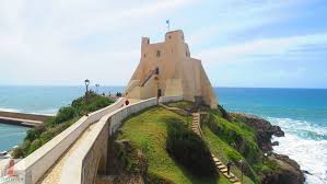 Image result for Spragueanella