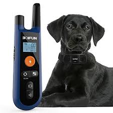 Dog Training Collar W Remote Dog Training Collar Training Collar Best Dog Training