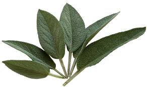 Comment Utiliser La Sauge Pour Une Sante D Enfer Astuces De Grand Mere Herbes Aromatiques Sauge Herbes De Cuisine