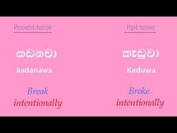 Learn Sinhala Sinhalese Present And Past Tense Verbs Youtube