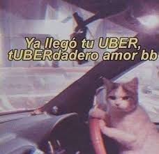 Pin De Gabriela Munoz En Frases Tiernas Uwu Frases Sarcasticas Graciosas Memes Divertidos Reir Frases