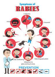In the rest of the world, exposure to rabid dogs is the most common cause of transmission to humans. What You Should Know About Rabies And Prevention