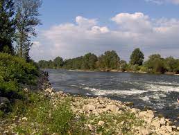 Vatra je zahvatila šumu i širi se ka zaseoku. Velika Morava Serbia Deims Sdr