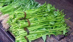 Ing kangkung o ipomoea aquatica metung yang tanaman a daragul keng danum kareng tropical a lugal a daragul bilang bulung gule. Chinese Water Spinach Or Kangkong Eaten Widely Across Asia But Considered A Weed In The Us South China Morning Post