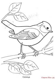 Eddig 1292 alkalommal nézték meg. Madarak Es Fak Napja Bird Coloring Pages Coloring Pages Bird Drawings