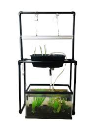 Buy 10 gallon fish tank and get the best deals at the lowest prices on ebay! How To Turn Your 10 Gallon Aquarium Into An Aquaponics System Justponics