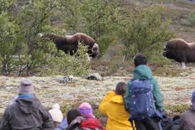 Hopefully the covid19 nightmare too. Moskussafari