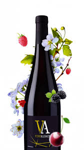 Flowers pinot noir 2017 tasting notes. Pinot Noir Vins D Alsace