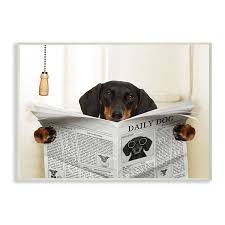 Free shipping on orders over $25 shipped by amazon. Stupell Home Decor Dog On Toilet Newspaper Plaque Wall Art