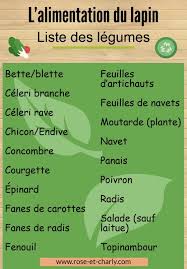 Il Est Indispensable Que Les Legumes Fassent Partie De L Alimentation Du Lapin Voici La Liste Des Legumes Pouvant Etre Donnes Sans D Animal House Rabbit Bunny