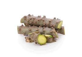 Image result for Tinospora