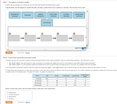 Solved The Pathway Of Secretory Proteins Proteins That Ar Chegg Com