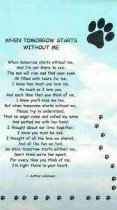 This poem is about what happens when your special friend passes on. 93 Facebook Pet Loss Grief Dog Poems Dog Quotes