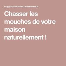 Repousser Les Mouches Et Autres Insectes Indesirables Naturellement Chasser Les Mouches Astuces Pour Chasser Les Mouches Repousser Les Mouches