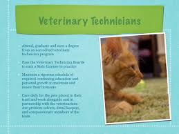 Voted best veterinarian in adams county by readers of the thornton sentinel. Best Care Pet Hospital Home Facebook