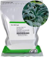 So, avoid cutting the kale plant from top. Amazon Com Lacinato Kale Vegetable Garden Seeds 1 Oz 8 000 Seeds Non Gmo Heirloom Organic Gardening Microgreens Seeds Aka Dinosaur Kale Garden Outdoor
