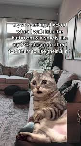 images?q=tbn:ANd9GcSe7nr-Cd19KHfZzoOkG9D