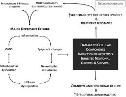 Dysthymia and major depressive disorder are similar in some ways. The Neuroprogressive Nature Of Major Depressive Disorder Pathways To Disease Evolution And Resistance And Therapeutic Implications Molecular Psychiatry