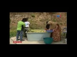 Jus buah markisa/buah susu/jus enak dan segar tanpa pewarna dan perasa tiruan. Buah Markisa Buah Susu Passion Fruit Proses Pembuatan Jus Markisa Youtube