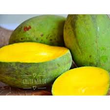 Sambal kuini salah satu menu sambal yang agak popular di utara s. Buah Mangga Kweni Fresh Organik 1 Kg Buah Mangga Kuweni Fresh Organik 1 Kg Shopee Indonesia