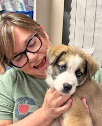 Emergency lunchtime business meeting for President Beryl and her Vice  Trefor, to discuss making 10 treats a day mandatory