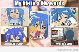 My Life In A Few Words Wake Up Study Eat Sleep Watch Anime Text Izumi Konata Lucky Star Otaku Anime Anime Funny Otaku Issues