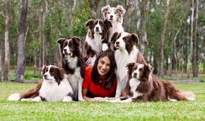 Resultado de imagen para pets and owners